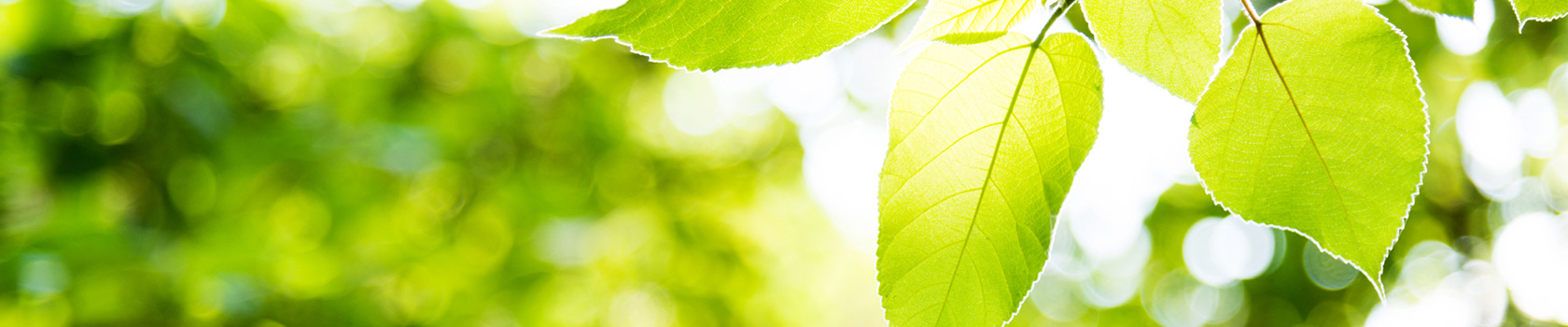 私の想い・理念